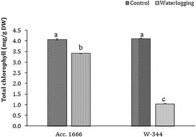 Elucidating the molecular responses to waterlogging stress in onion (Allium cepa L.) leaf by comparative transcriptome profiling